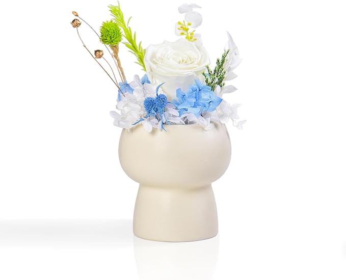 Preserved Floral Gift Set, Everlasting Rose in Small Ceramic Pot - Lasting Beauty for Home Table Decor, Mother's Day, Valentine's Day, Birthday, and Anniversary (White)