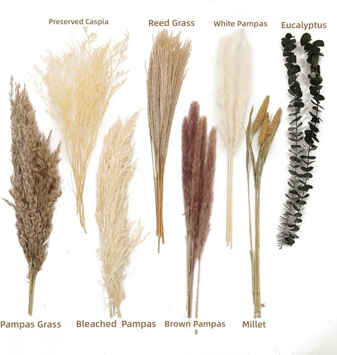 Dried Flowers Bouquet,Pampas Grass for Boho Decor,Rustic Farmhouse Flower for Bohemian Home,Bedroom,Living Room,Wedding Table Centerpieces(Bouquet A)