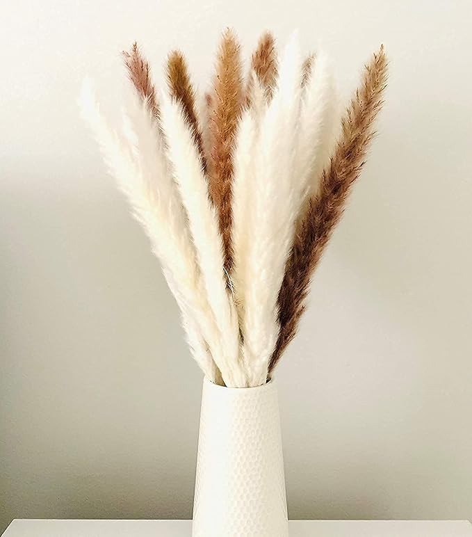 60 Pcs White Pampas Grass ,17 inch/45 cm Natural Dried Pampas Grass Branches Decor for Home Kitchen Garden Party Photographing Flower Arrangement Vase Decor(White
