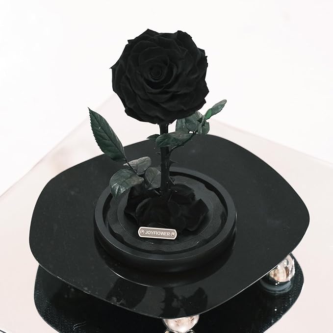 JoyFlower Single Rose Real Rose Flower Gifts for Mom from Daughter Son, Birthday Gifts for Women, Eternal Rose Preserved Flowers for Delivery Prime for Christmas Valentine's Mothers Day(Black)