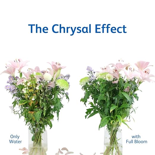 Chrysal Full Bloom Liquid Flower Food - Clear, Concentrated for Flower Arrangements & Bouquets - Mix with Water - Ideal Florist Supplies & at-Home Use - 500mL Bottle (500ml) (3 Pack)