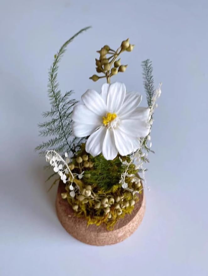 JoyFlower Preserved Daisy in Glass Dome, Real Daisy Eternal Flowers Gifts for Women, Preserved Flower Friendship Gifts for Girlfriend Best Friend Sisters Daughter Birthday Graduation Gift