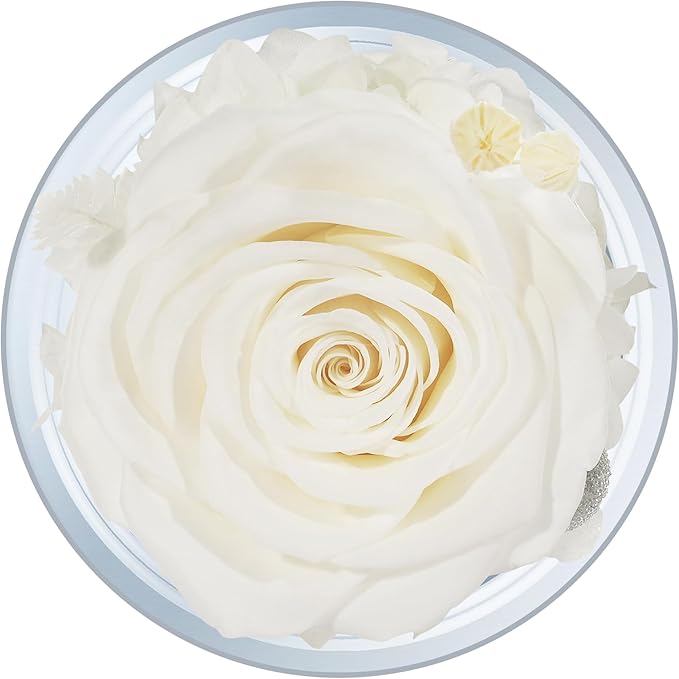 Sunia Preserved Flower Rose Gift for Women - Mother's Day Birthday Gifts for Mom Wife Grandma, Glass Angel Figurines Forever Real Roses Gifts for Her Valentine Day Thanksgiving (White)