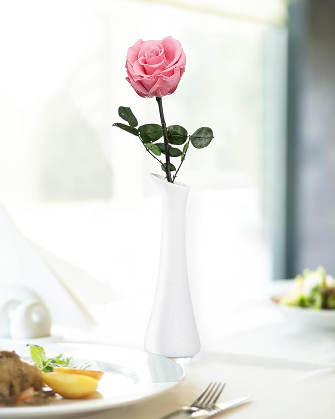 Coral Pink Flowers for Delivery Prime, Preserved Pink Roses Flower Gifts for Women, Real Roses Single Rose Gifts for Her, Mom Birthday Gifts from Daughter, Valentines Flowers