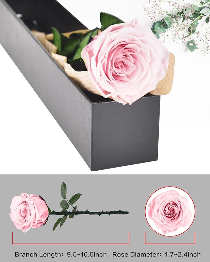 Pink Preserved Flowers Gifts for Women: Eternal Rose Birthday Christmas Anniversary for Mom Girlfriend Wife Grandma
