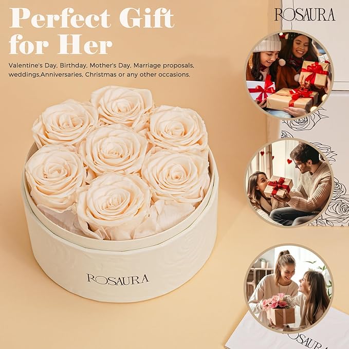 Rosaura Round Preserved Roses Gift Box - Real Forever Flowers for Birthday, Valentine's & Mother's Day (Champagne, 7 Roses)