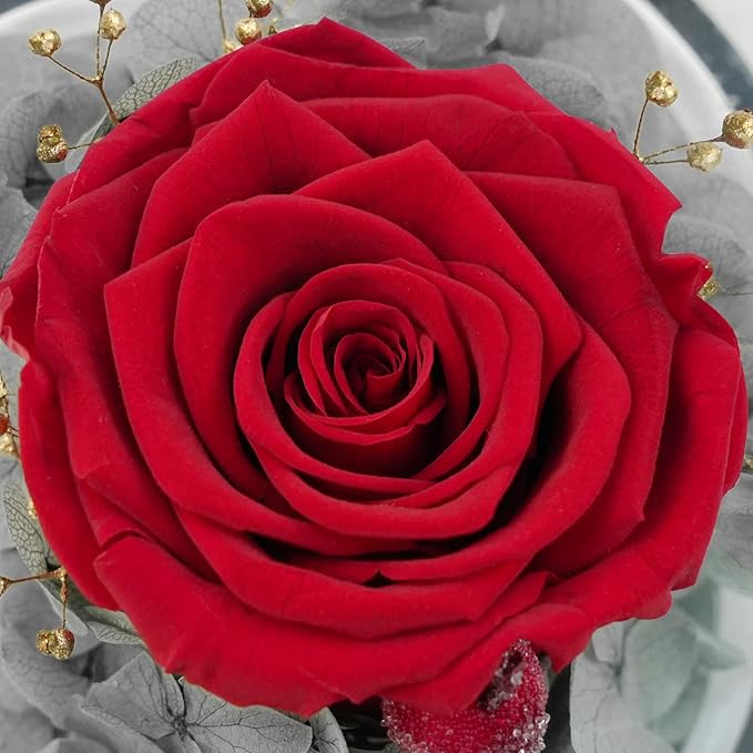 Sunia Preserved Flower Rose Gift for Women - Mother's Day Birthday Gifts for Mom Wife Grandma, Glass Angel Figurines Forever Real Roses Gifts for Her Valentine Day Thanksgiving (Red)