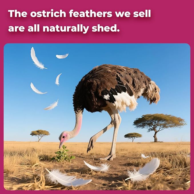 Piokio 20 pcs Gold Ostrich Feathers Plumes 8-10 inch(20-25 cm) Bulk for DIY Clothes, Feather Pens, Dream Catcher, Gatsby Decorations