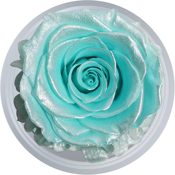 Sunia Preserved Flower Rose Gift for Women - Mother's Day Birthday Gifts for Mom Wife Grandma, Glass Angel Figurines Forever Real Roses Gifts for Her Valentine Day Thanksgiving (Sparklinga quamarine)