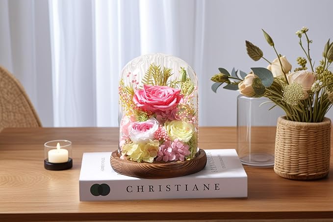 Flowers for Delivery Prime Preserved Flowers Pink Roses with LED Light in a Glass Dome,Long Lasting Real Roses Birthday Gifts for Women Daughter Mom Wife Friend(Pink Rose)