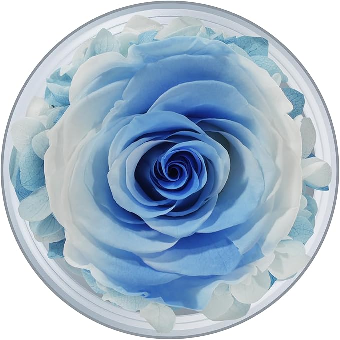 Sunia Preserved Flower Rose Gift for Women - Mother's Day Birthday Gifts for Mom Wife Grandma, Glass Angel Figurines Forever Real Roses Gifts for Her Valentine Day Thanksgiving (White Blue)