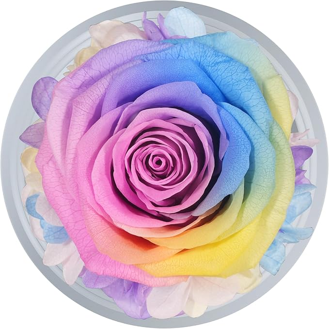 Sunia Preserved Flower Rose Gift for Women - Mother's Day Birthday Gifts for Mom Wife Grandma, Glass Angel Figurines Forever Real Roses Gifts for Her Valentine Day Thanksgiving (Rainbow)