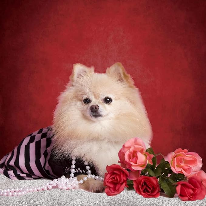 Abstract Professional Photography Backdrop for Portrait Photo Props Booth Background Photoshoot Studio with Polyester Fabric Roller Pocket on Top (8x12ft,Red,No Stand)