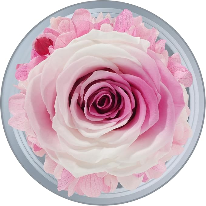 Sunia Preserved Flower Rose Gift for Women - Mother's Day Birthday Gifts for Mom Wife Grandma, Glass Angel Figurines Forever Real Roses Gifts for Her Valentine Day Thanksgiving (Gradient Pink)