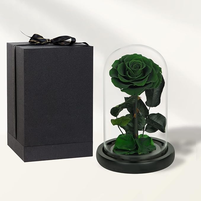 NATROSES Handmade Preserved Roses in Glass Dome, Green Roses, Preserved Flowers Gifts for Women, Mothers Day Flowers