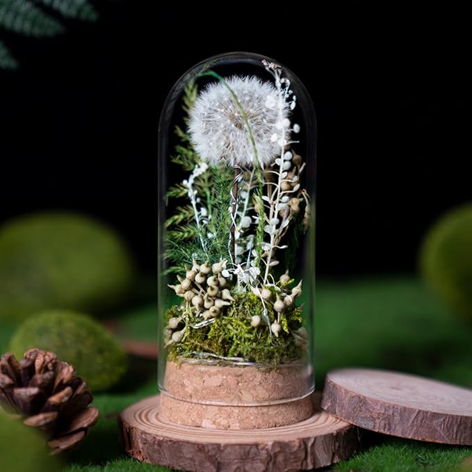 JoyFlower Preserved Dandelion in Glass Dome, Real Dandelion Eternal Flowers Gifts for Women, Preserved Flower Friendship Gifts for Girlfriend Best Friend Sisters Daughter Birthday Graduation Gift