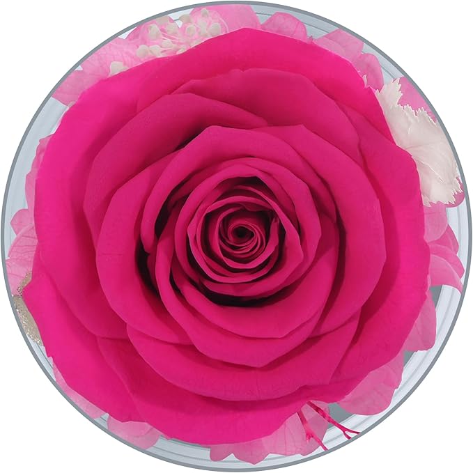 Sunia Preserved Flower Rose Gift for Women - Mother's Day Birthday Gifts for Mom Wife Grandma, Glass Angel Figurines Forever Real Roses Gifts for Her Valentine Day Thanksgiving (Rose red)