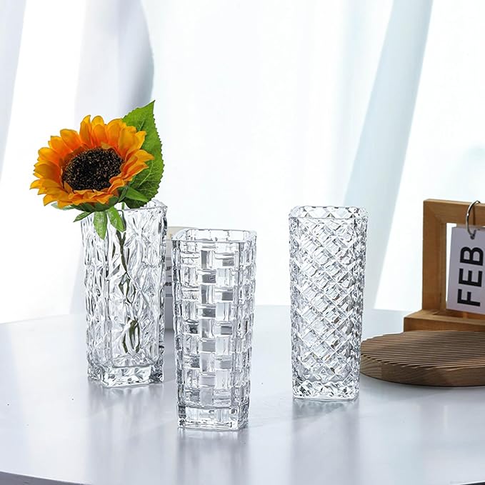Clear Glass Vase for Flowers Esmiome Square Embossed Rectangle 6in High Glass Bud Vases Small Vase for Flowers Plant Terrarium Candle Holder Water Glasses for Wedding Centerpiece Office Table,IcePlate