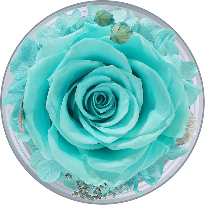 Sunia Preserved Flower Rose Gift for Women - Mother's Day Birthday Gifts for Mom Wife Grandma, Glass Angel Figurines Forever Real Roses Gifts for Her Valentine Day Thanksgiving (Aquamarine)