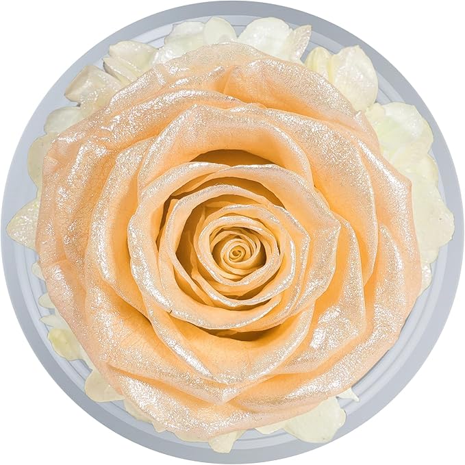 Sunia Preserved Flower Rose Gift for Women - Mother's Day Birthday Gifts for Mom Wife Grandma, Glass Angel Figurines Forever Real Roses Gifts for Her Valentine Day Thanksgiving (Sparkling Champagne)