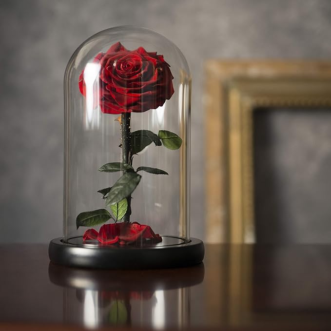 Forever Preserved Rose - Eternal Rose in Glass Dome - Beauty and The Beast Rose for Mom - Fresh Flowers in Glass (Red, 9 Inch)