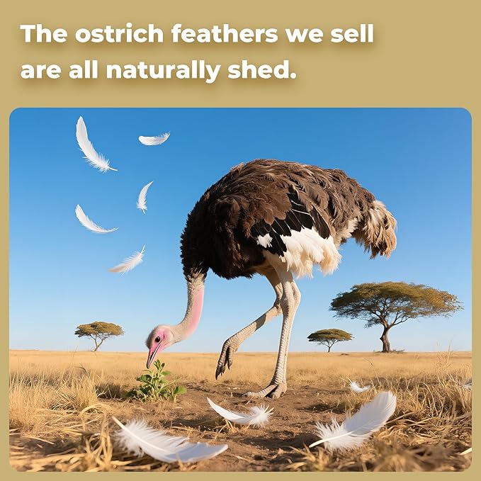 Piokio 20pcs Natural Champange Ostrich Feathers 10-12 inch (25-30cm) Bulk Feathers for Wedding Party Centerpieces, Home Decoration and DIY Clothing, Gatsby Decorations
