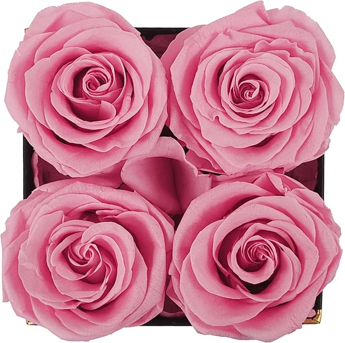 Changshunqi Preserved Roses, Forever Flowers Real Roses in a Box Last 2-3 Years, Preserved Flowers Birthday Gifts for Womem Mom Her,Anniversary Eternal Flowers Gifts for Mother Women Friends