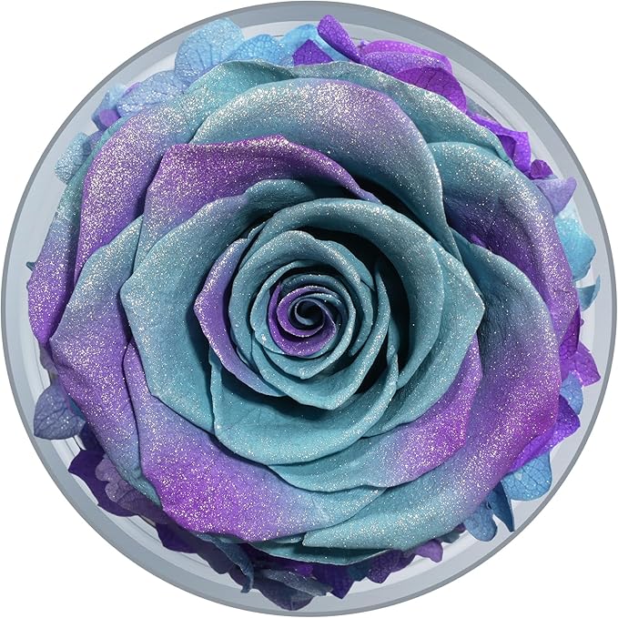 Sunia Preserved Flower Rose Gift for Women - Mother's Day Birthday Gifts for Mom Wife Grandma, Glass Angel Figurines Forever Real Roses Gifts for Her Valentine Day Thanksgiving (Starry Sky)