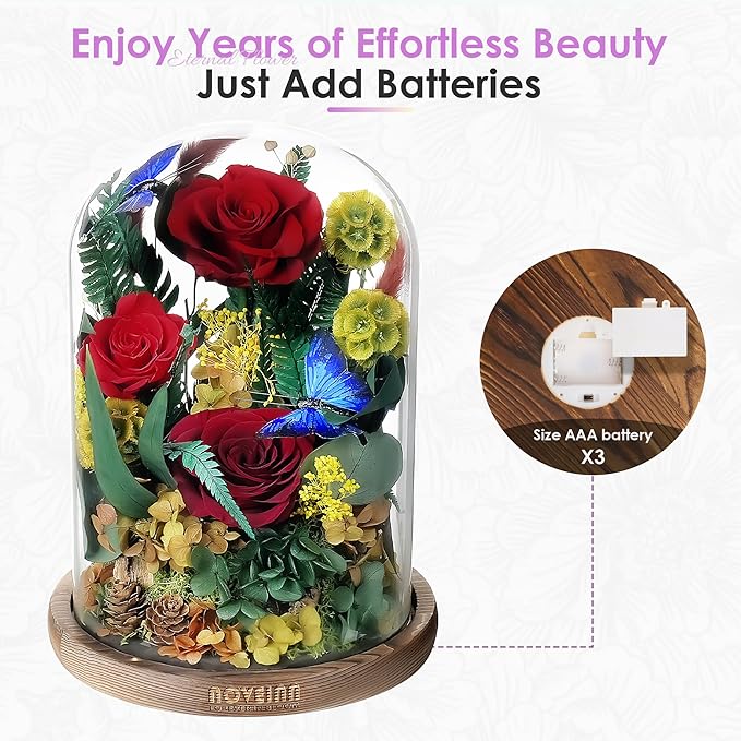 NOVEINN Preserved Flowers in Glass Dome - Eternal Rose Arrangement with Real Preserved Plants, Romantic Forever Rose Gift for Women - Anniversary, Birthday, Mother’s Day, Home Decor(Red)
