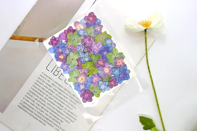 50 Pcs Mixed Hydrangea Dried Pressed Flowers for Crafts,Real Nature Dry Flower Bulk for Resin Jewelry Making Candle Making Frame Decoration Art Floral Decors