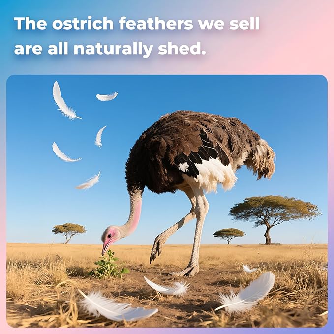 Piokio 20pcs Natural Navy Blue Ostrich Feathers 10-12 inch (25-30cm) Bulk Feathers for Home Decoration and DIY Clothing and DIY Clothes Decoration, Gatsby Decorations