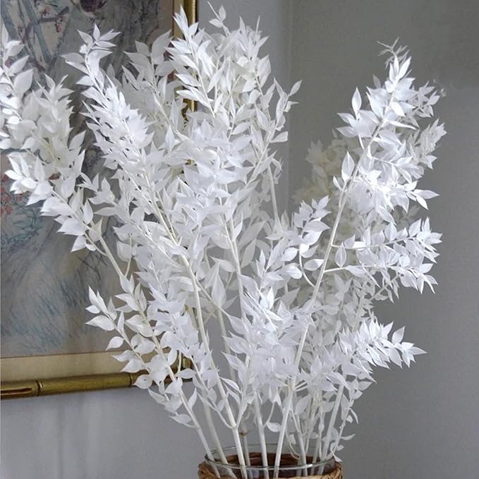 7 Pcs Natural White Italian Ruscus Eucalyptus, 16'' Eucalyptus Dried Flower Bundles for DIY Flower Arrangements, Home Decor, Garlands, Weddings, Vases, and Centerpieces