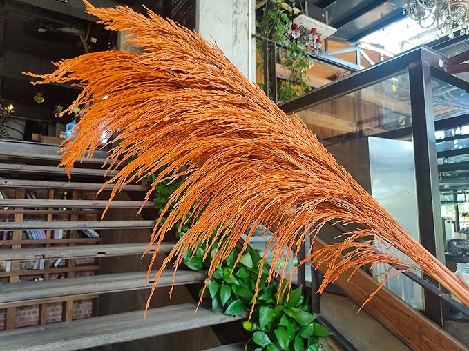 Pampas Grass Decor Tall,Long Pampas, Large Pompas Floral, Elegant Feather Flowers for Wedding Decorations, Living Room Decor (Natural Orange, 8pcs 31.5"(80cm))