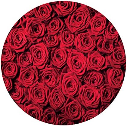 Renaiss 3x3ft Red Rose Round Backdrop Covers for Photoshoot Girls Women Portrait Crimson Flowers Flowerbed Photography Background Wedding Bridal Baby Shower Birthday Party Decor Photo Booth Prop