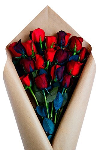 12 Stems - Fresh Cut Black and Red Roses from Flower Explosion