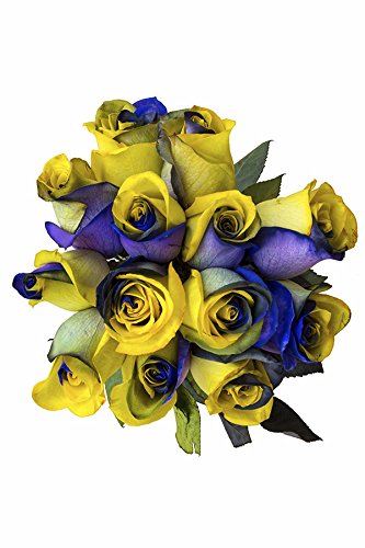 12 Stems - Fresh Cut Yellow & Purple Roses from Flower Explosion