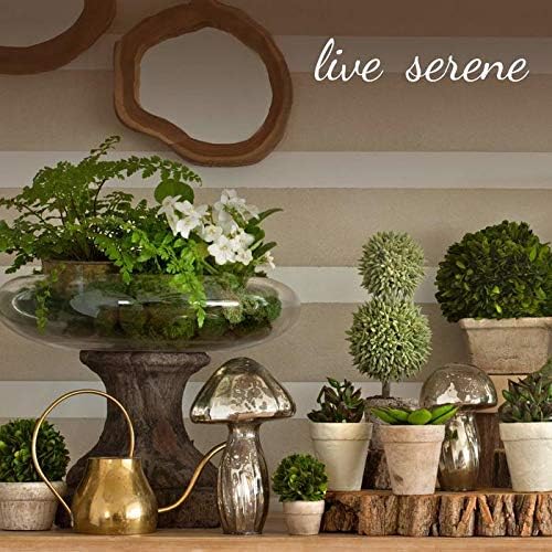 Serene Spaces Living Gold Handi Bowl: Hammered Texture, Decor for Living Rooms, Entryways, Restaurants, Indian Wedding. Table Centerpiece in Aluminum or Brass, Aluminum, 3" Tall & 8.25" Dia
