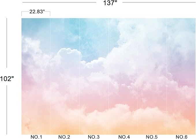 Cliouar-Sun and Cloud Background with a Pastel Colored Wall Mural Wallpaper Peel and Stick 137" x 102"