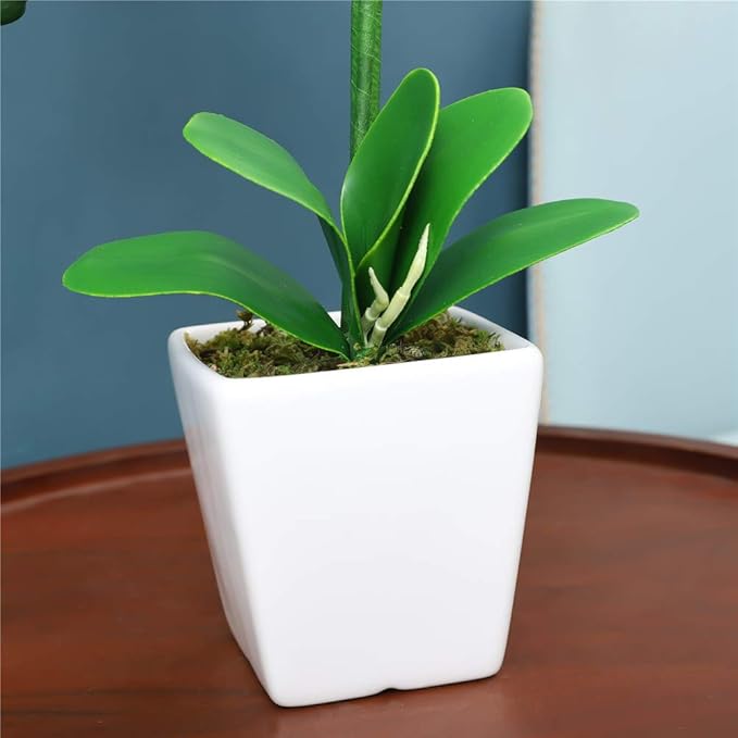 15" Tall Artificial Silk Phalaenopsis Orchid Flower Plant Pot Arrangements (Yellow)