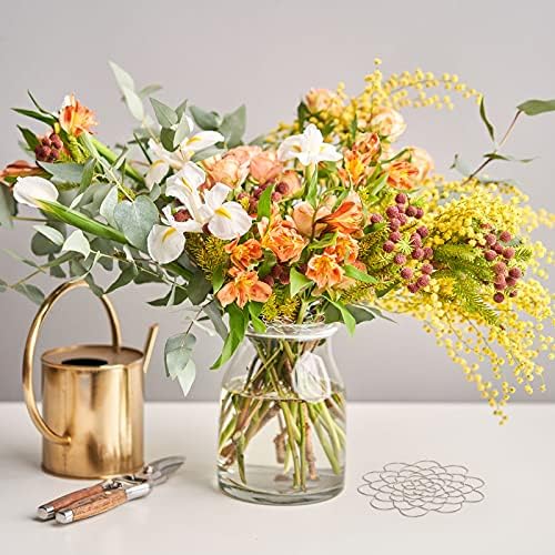 Hotop Stainless Steel Flower Arranger Frog Wire Flower Arrangement Holder Round Floral Lid Organizer Grid Tool for Floral Plant Vase Stems Bouquets Fixation(2 Pieces)