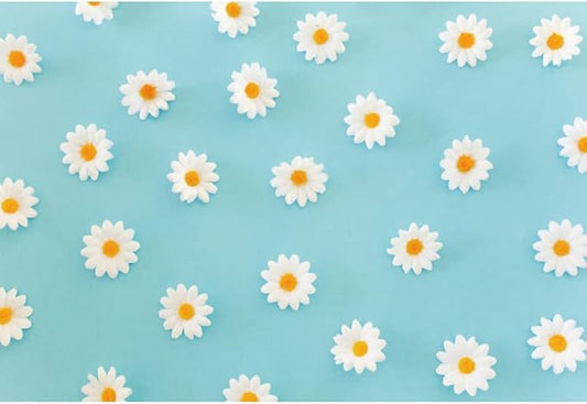 Laeacco Daisy Flower Backdrop for Photography White Floral Blue Photo Background Baby Shower Birthday Party Decorations Cake Table Banner Girls Children Portrait Photoshoot Studio Props 20x10ft Vinyl