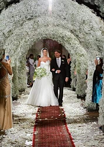Bringsine Babybreath Gypsophila Wedding Decoration White Artificial Flowers Party Outdoor 40 Pieces/Lot