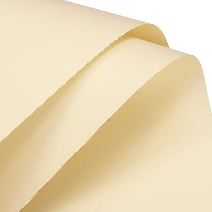 MECCANIXITY Pearlescent Film Flower Wrapping Paper 22.8x22.8 Inch Waterproof for DIY Crafts, Gift/Gift Box Packaging Cream Color Pack of 10