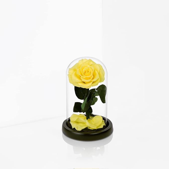 NATROSES Handmade Preserved Roses in Glass Dome, Yellow Roses, Preserved Flowers Gifts for Women, Mothers Day Flowers