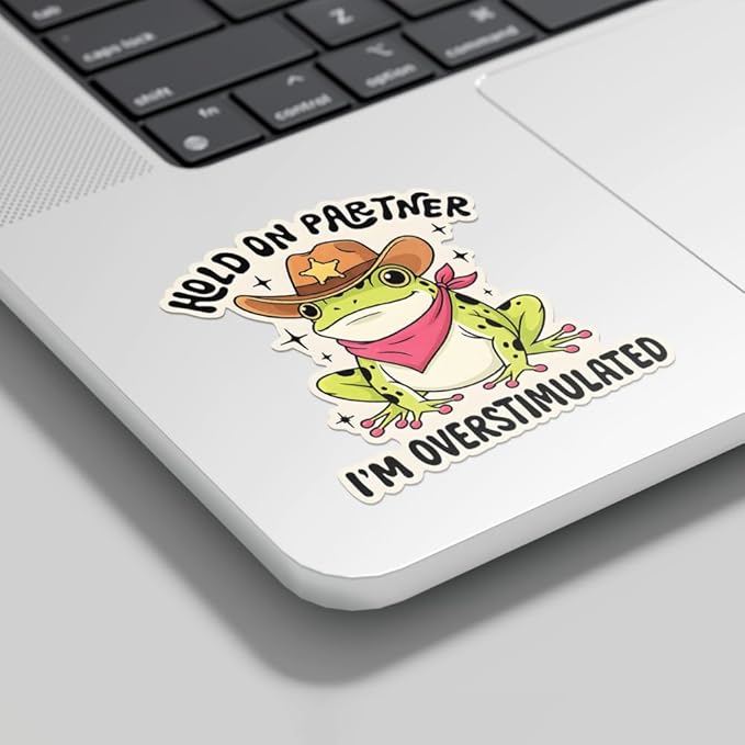 HANDICHI Design 5-Pack 6 Inch Hold On Partner I’m Overstimulated Stickers – Funny Meme Vinyl Decals for Water Bottles, Laptops, Journals, Scrapbooks – Sarcastic Gift for Frog Lovers