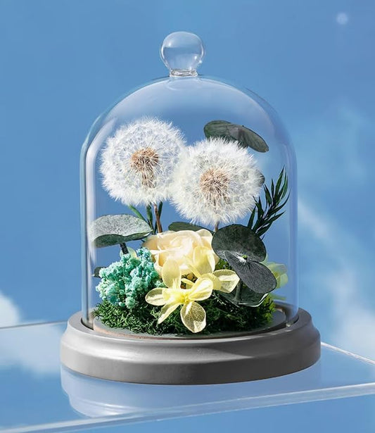 JoyFlower Preserved Dandelion in Glass Dome, Real Dandelion Eternal Flowers Gifts for Women Girlfriend, Preserved Flowers Friendship Birthday Graduation Gifts for Best Friends Sisters Daughter Son