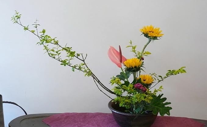 JapanBargain 2304, Japanese Ikebana Kenzan Flower Frog for Flower Arrangements Brass Floral Arranging Pin Needle Holder Made in Japan, 5-1/8" x 1-5/8"