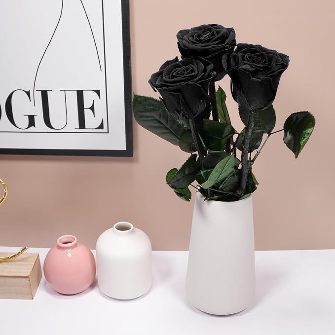Yamonic Preserved Flowers Rose Gifts for Mom Grandma, Mom Birthday Gifts for Women, Mothers Day Real Flower Rose Gifts for Moms, Her, Wife, Girlfriend Gifts on Christmas,Valentine's Day, Anniversary