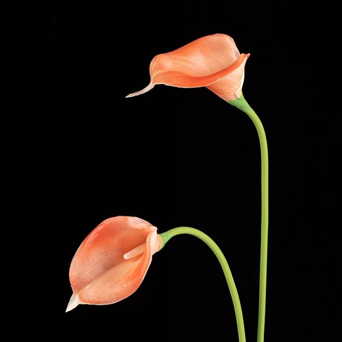 DuHouse 20Pcs Artificial Calla Lily Flower Real Touch Latex Flowers for DIY Wedding Bouquet Party Home Decor (Coral)