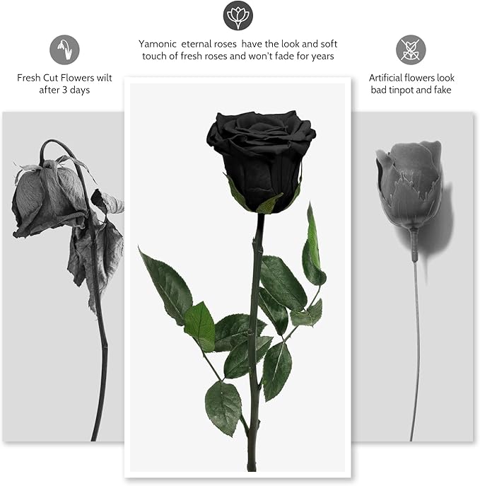 Yamonic Preserved Flowers Rose Gifts for Women Mom, Mothers Day Rose Gifts for Mom, Forever Real Flower Birthday Mom Gifts for Her, Women, Grandma,Girlfriend,Wife Gifts for Anniversary Wedding(Black)